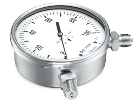Differential pressure gauges with capsule